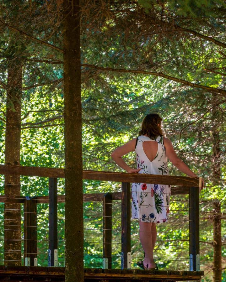 Novosiele Residence - Nad Gorska Rzeka - Lesne Spa Sauna Jacuzzi - Bieszczady Bystre  Zewnętrze zdjęcie