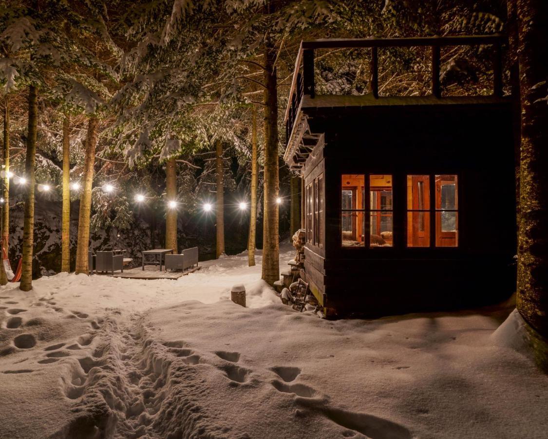 Novosiele Residence - Nad Gorska Rzeka - Lesne Spa Sauna Jacuzzi - Bieszczady Bystre  Zewnętrze zdjęcie